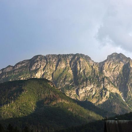 Apartment Wojciecha Brzegi Zakopane By Noclegi Renters Exteriör bild